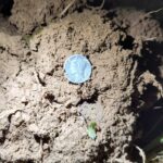 Simplex Dedektörümle İlk Gümüşümü Buldum - 2