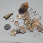 Bu Dedektör Sahilde Harika Çalışıyor - 1