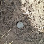 Uzun Zamandır Böyle Bir Gün Geçirmemiştim - 4