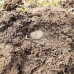 Uzun Zamandır Böyle Bir Gün Geçirmemiştim - 5