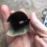 Simplex+ Dedektörle Merada Üç Saat Geçirdim - 7