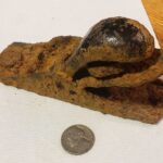 Simplex+ Dedektörümle Küçük Bir Gezinti - 1