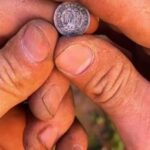 Listemden Bir Madeni Para Daha Eksildi - 1