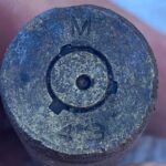 Multi Kruzer Dedektörle Florida Sahillerinde Av - 4