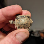 Öğleden Sonra Parkta 3 Saat Geçirdim - 5