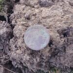 Tüm Hepsini Simplex+ Dedektörümle Buldum - 10