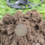 Nokta The Legend Dedektörle İlk Avımı Yaptım - 11