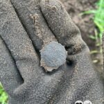 Nokta The Legend Dedektörle İlk Avımı Yaptım - 6