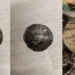 Bugün İlk Gümüş Sikkemi Buldum - Kapak
