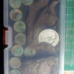 Ormanda The Legend Dedektörle Para Kesesi - 4