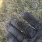 The Legend Dedektör Hayal Kırıklığına Uğratmadı - 1