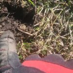 The Legend Dedektör Hayal Kırıklığına Uğratmadı - 2