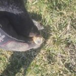 The Legend Dedektör Hayal Kırıklığına Uğratmadı - 3