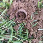 The Legend Dedektörle Bugün Bulduklarım - 2