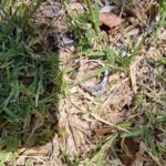 The Legend Dedektörle Bugün Bulduklarım - 4