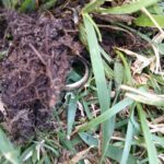 The Legend Dedektörle Üç Günde 4 Yüzük - 5