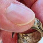 Yerel Parkta Bir Başka Harika Gün - 3