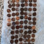 Yerel Parkta Bir Başka Harika Gün - 8