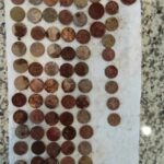 Yerel Bir Parkta Harika Bir Gün Geçirdim - 8
