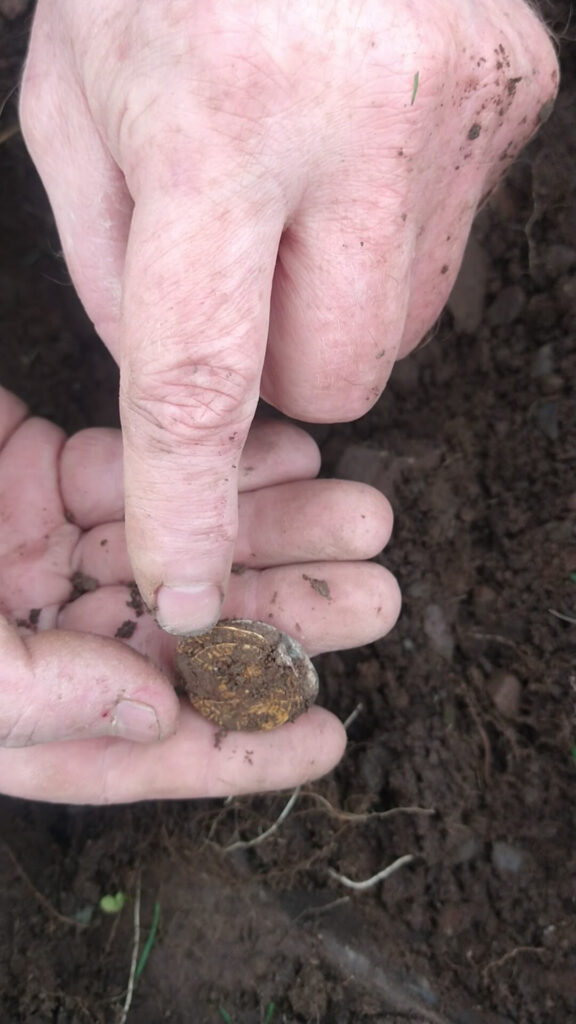 The Legend Saldırmaya Devam Ediyor: Altın Sikkeler - 5