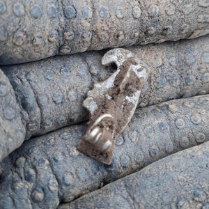 Geçen Yıl Bulduğum En İyi Şeylerden Biri - 2