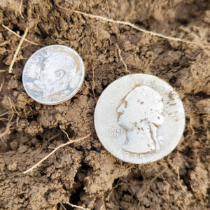 Hayaller Tarlamda Son Bir Av - 1