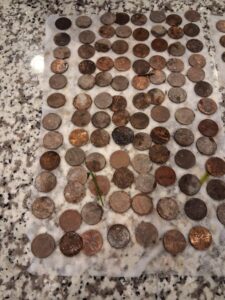 Kaliforniya'da Nokta Legend Dedektörle Metal Tespiti - 14