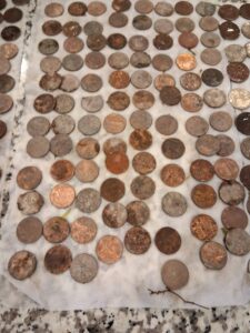 Kaliforniya'da Nokta Legend Dedektörle Metal Tespiti - 19