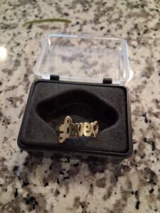 Kaliforniya'da Nokta Legend Dedektörle Metal Tespiti - 21