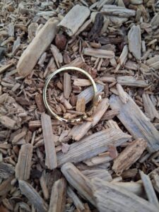 Kaliforniya'da Nokta Legend Dedektörle Metal Tespiti - 8