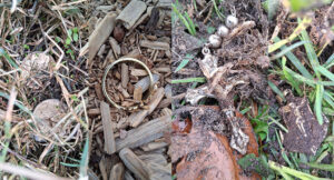 Kaliforniya'da Nokta Legend Dedektörle Metal Tespiti - Kapak