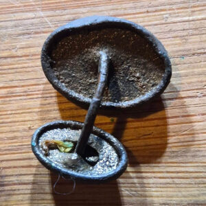 Nehir İzninde Muhteşem Av: 1901 Amerikan Kilidi ve Nadir Paralar - 10