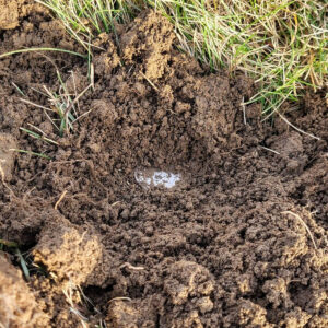 Ocak Ayındaki İlk Avım - 1