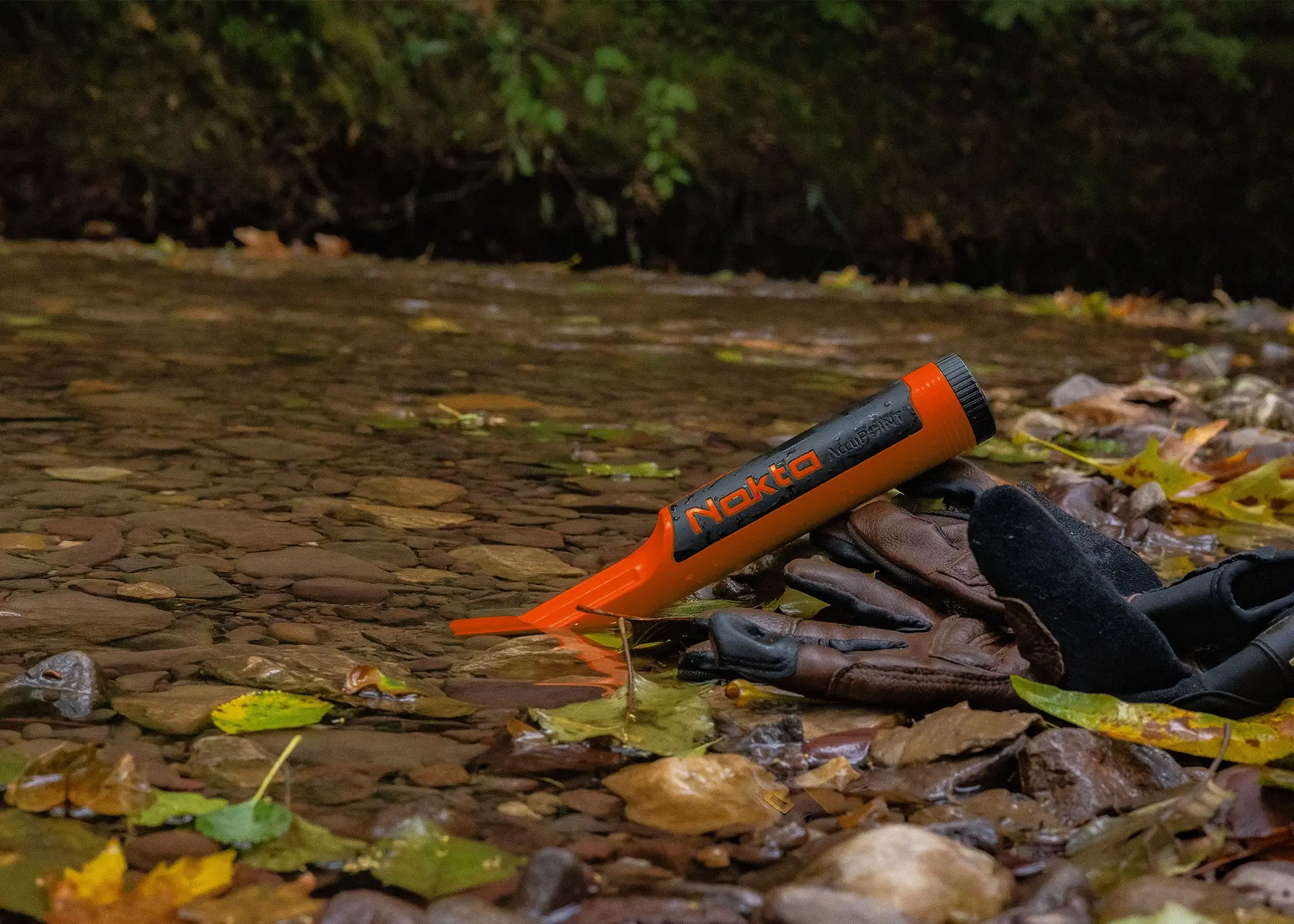 Nokta AccuPOINT LITE Pointer Dış Mekan Fotoğrafı - 6